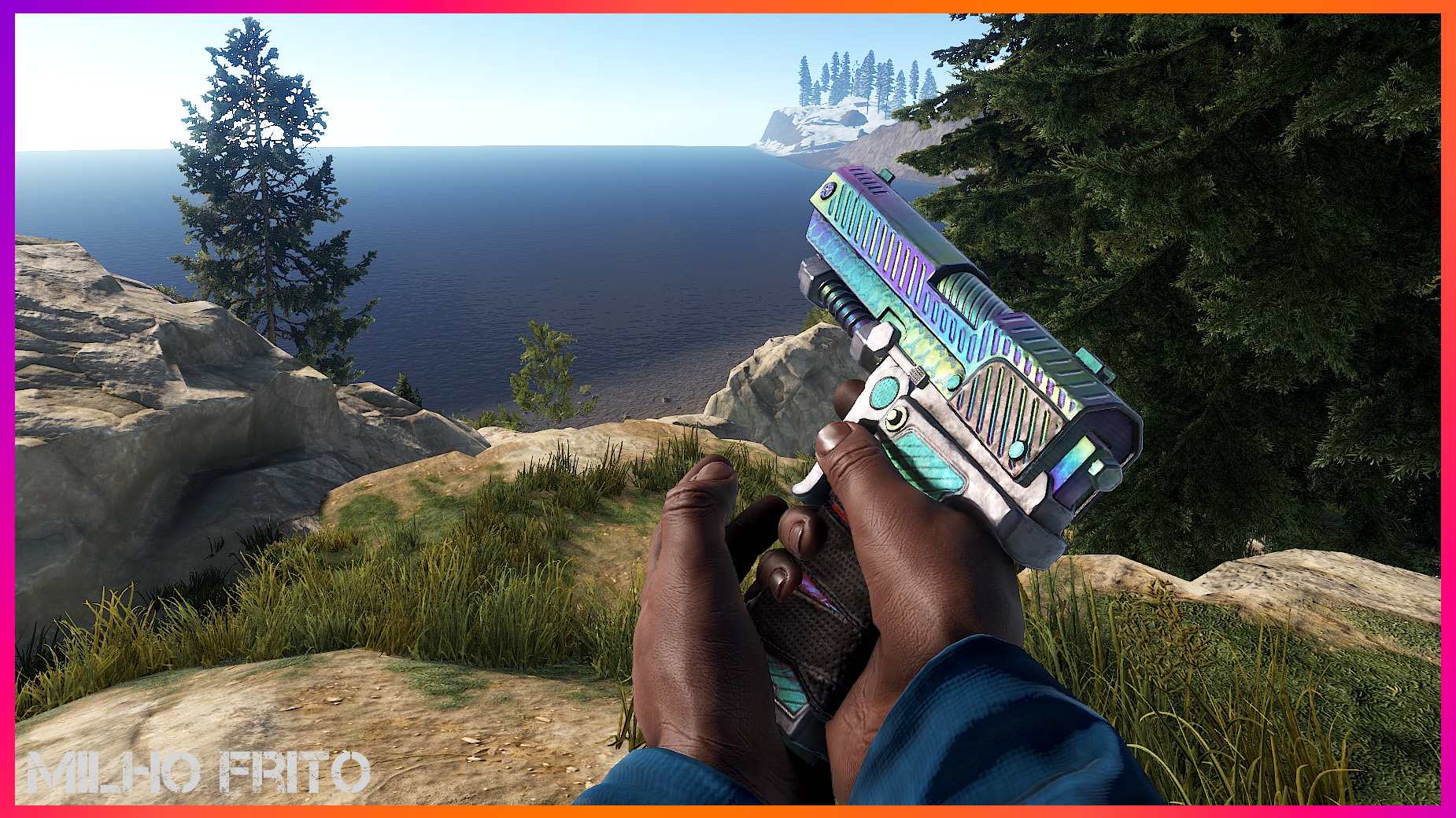 Holographic SAP thumbnail 2
