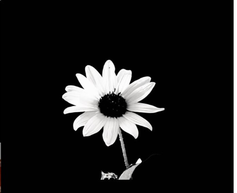 steam community papatya gibisin beyaz ve ince