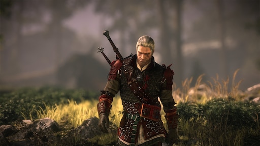 The witcher 2 assassins of kings стим фото 112