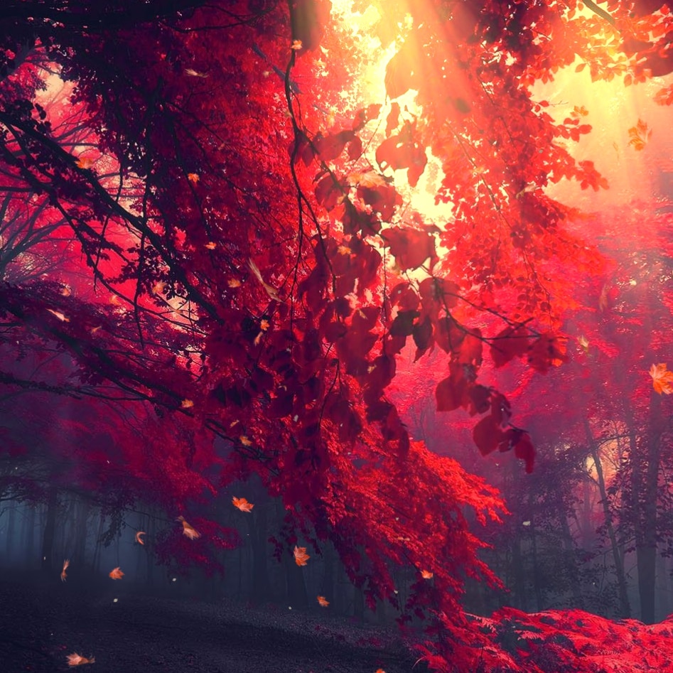 Red Forest
