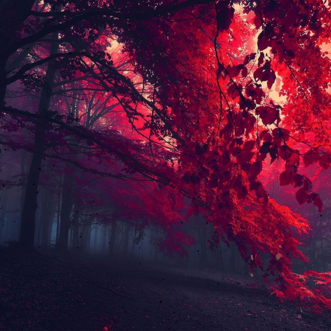 Red Leafs