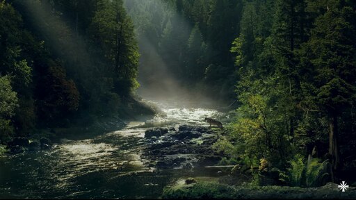 Живое фото на рабочий стол Живое фото на рабочий стол