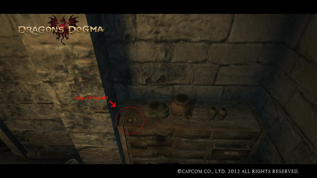 Dragons Dogma : From a Different Sky 39 - 40 