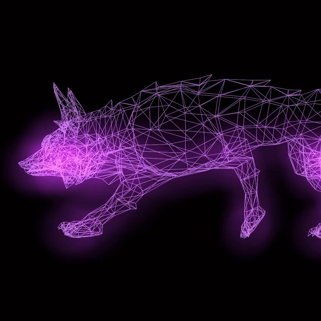 neon fox