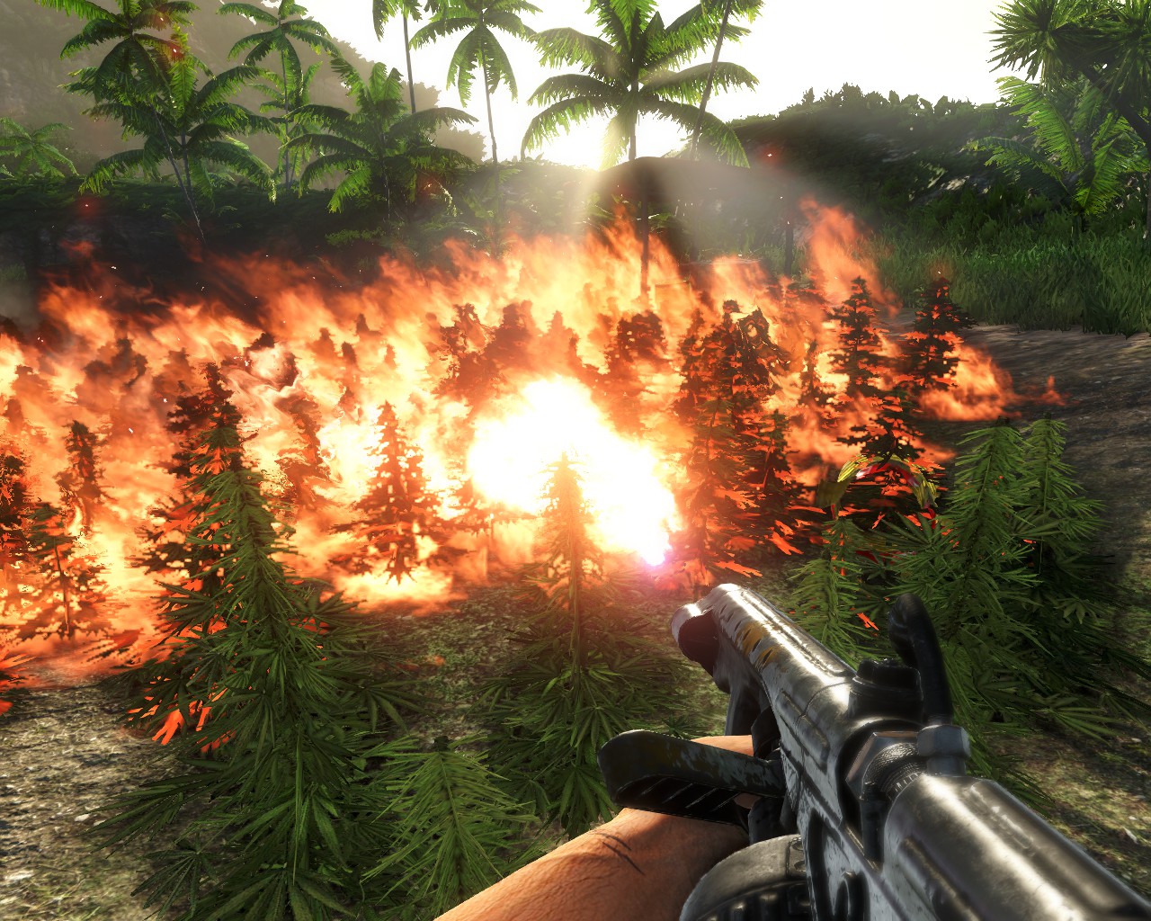 Far cry 3 сжечь коноплю закон в сша о марихуане