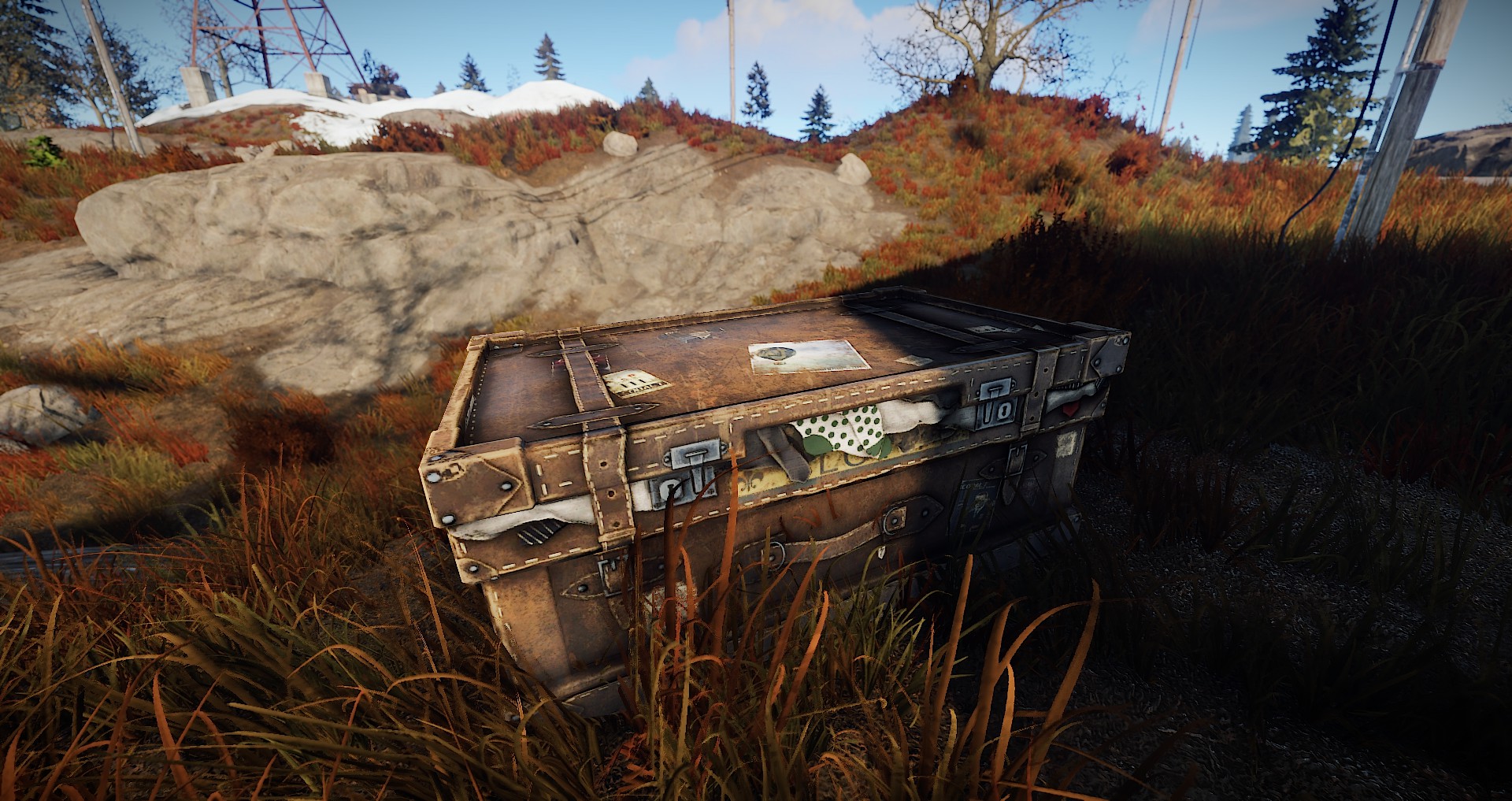 Large Suitcase thumbnail 3