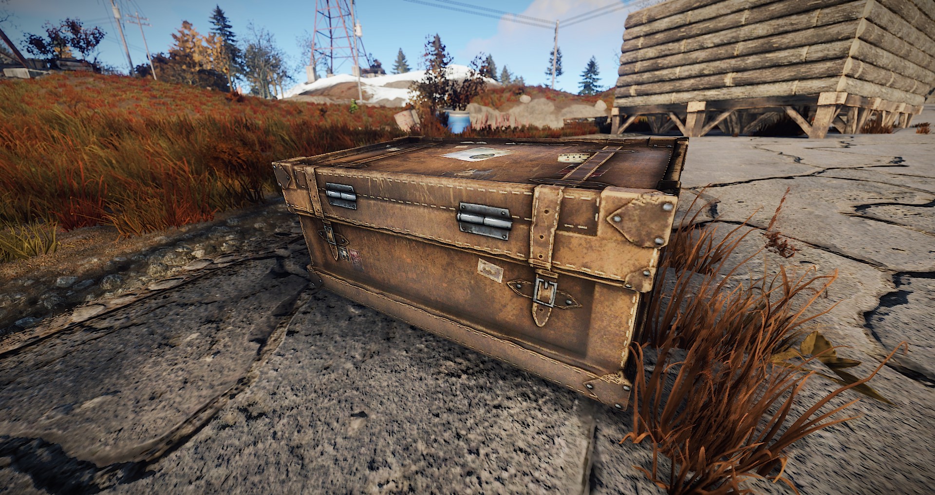 Large Suitcase thumbnail 4