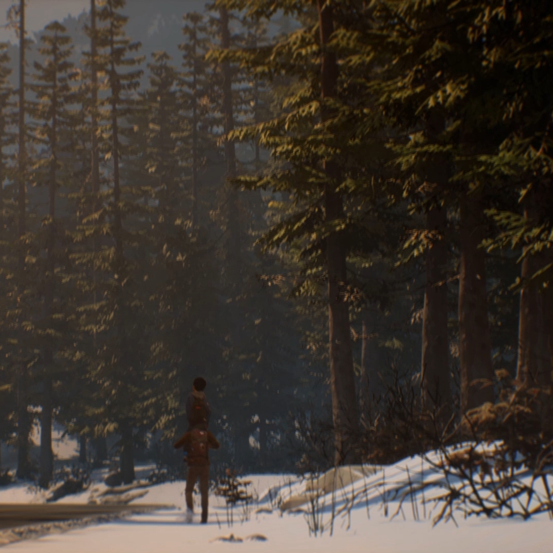 Steam Workshop Life Is Strange 2 Rules Live Wallpaper