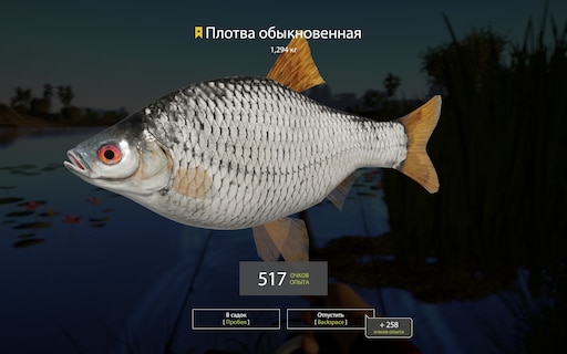 как зайти в русскую рыбалку 4 через стим фото 38