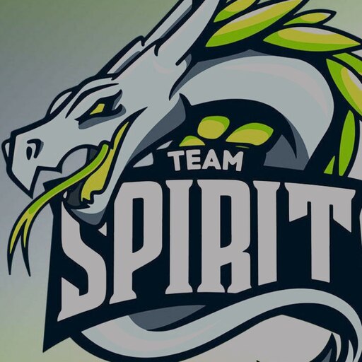 Team spirit elevate. Team Spirit logo 2021. Тим спирит чемпионы. Тим спирит старый логотип. Тим спирит дота 2.