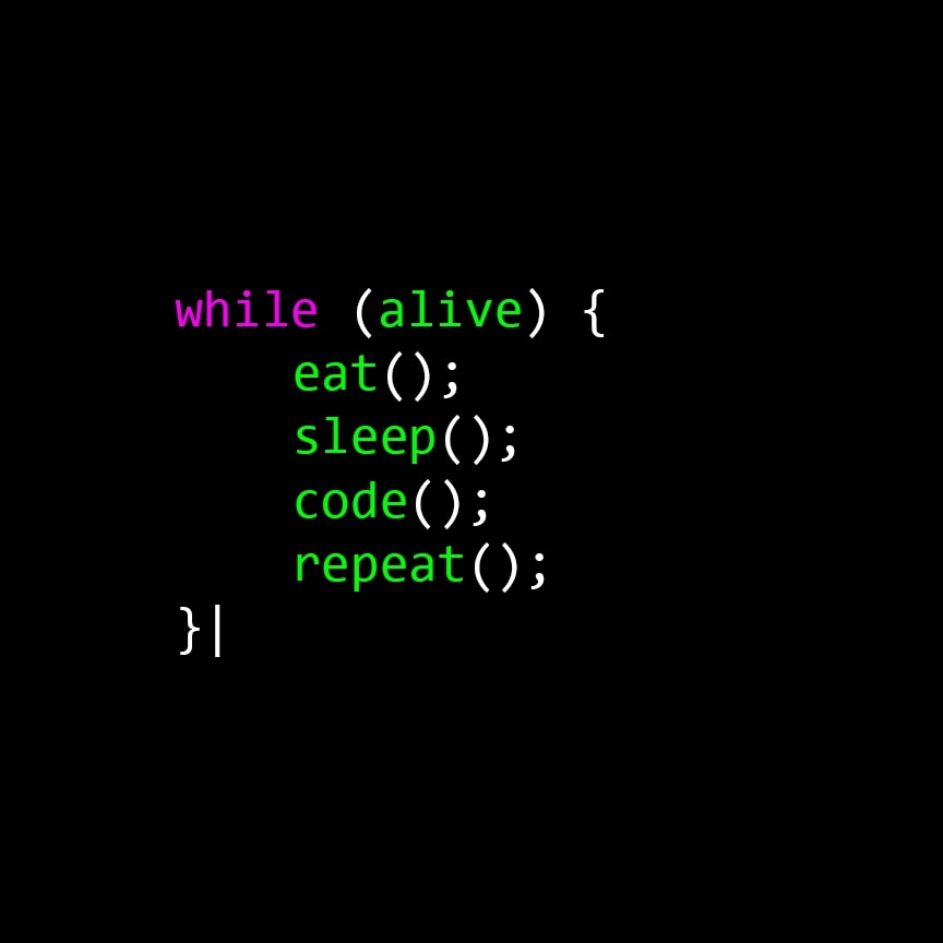 Java Developer - While(Alive)