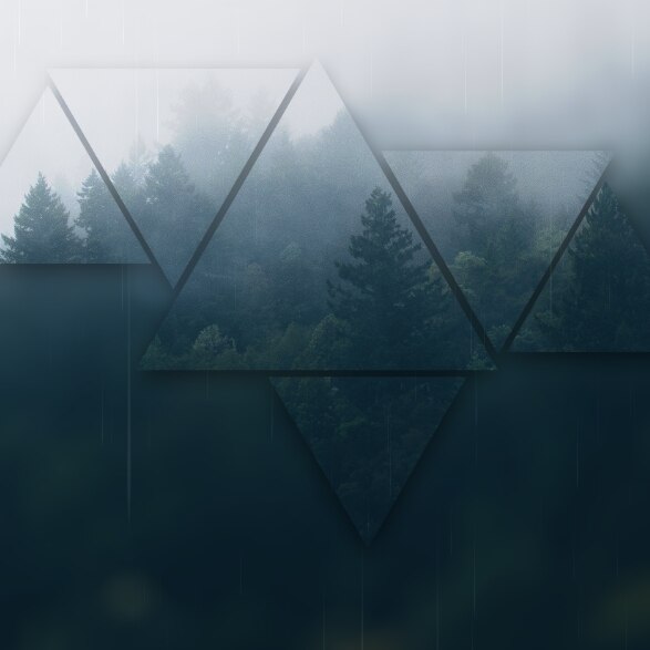 raining forest....