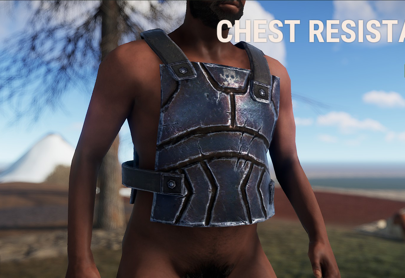 Chest Resistance thumbnail 2