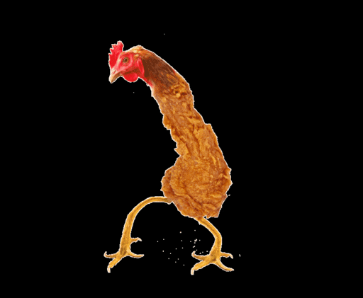Куриная ножка мем. Танцующая курица. Курица гиф. Общипанная курица на белом фоне. Курица пляшет.