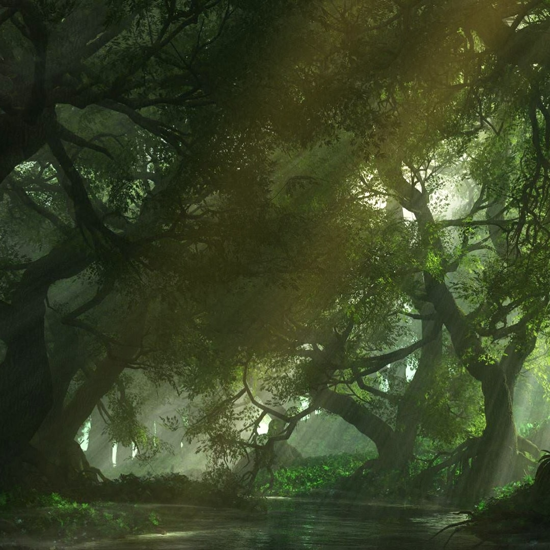 Calm Forest (Dual Monitor)