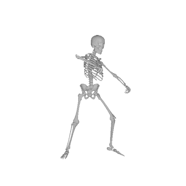 Comunidade Steam :: :: Dancing Skeleton Zone