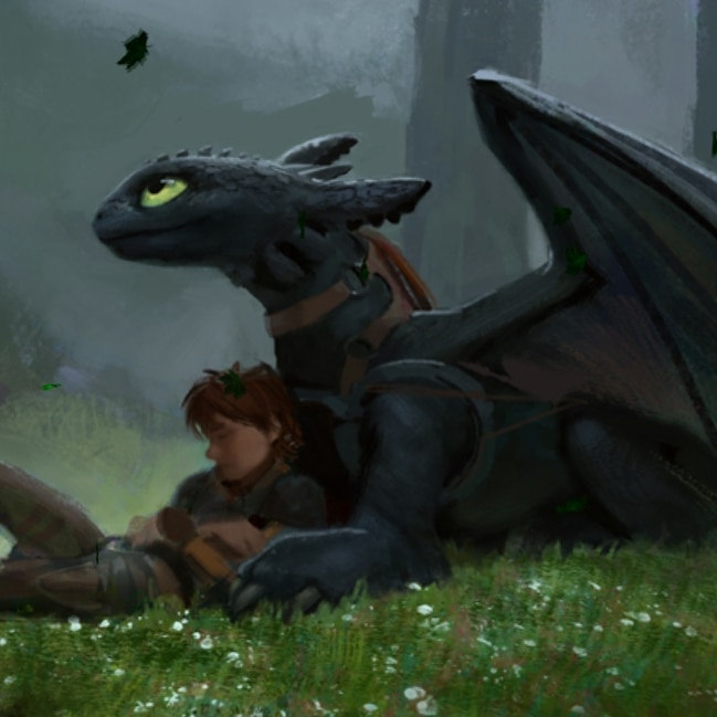 Toothless in a Field