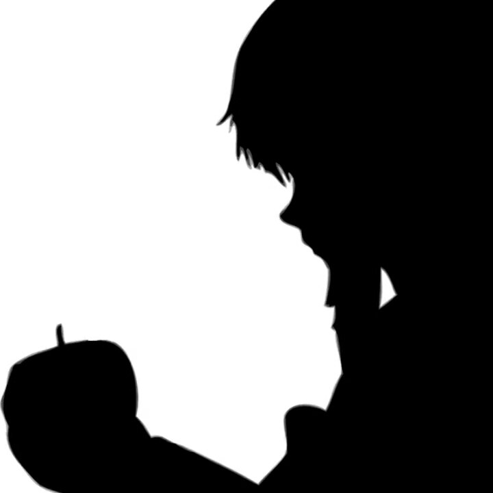 東方Project - Bad Apple!! (1080p)