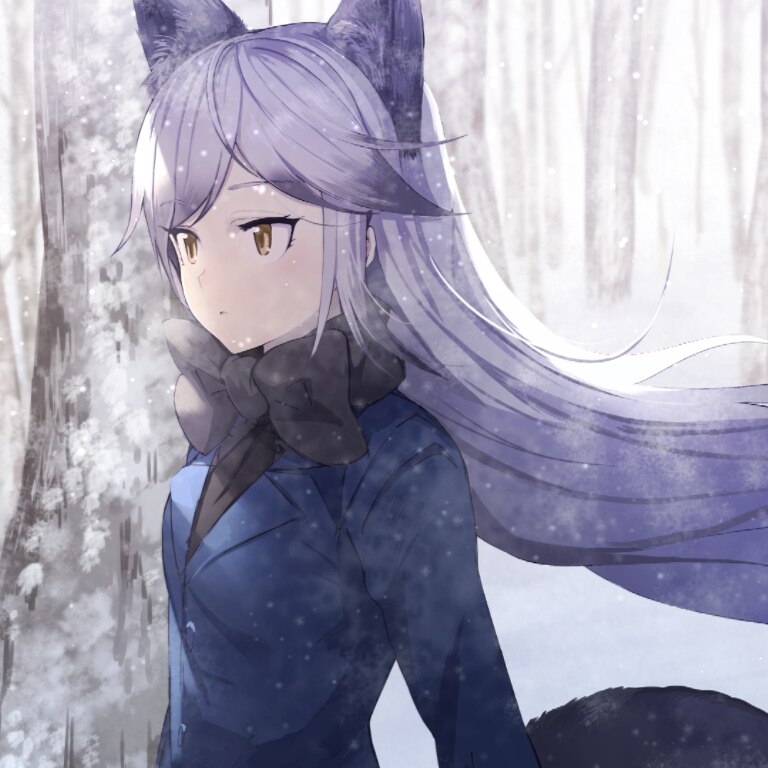 Snow Silver Wolf [1080P]