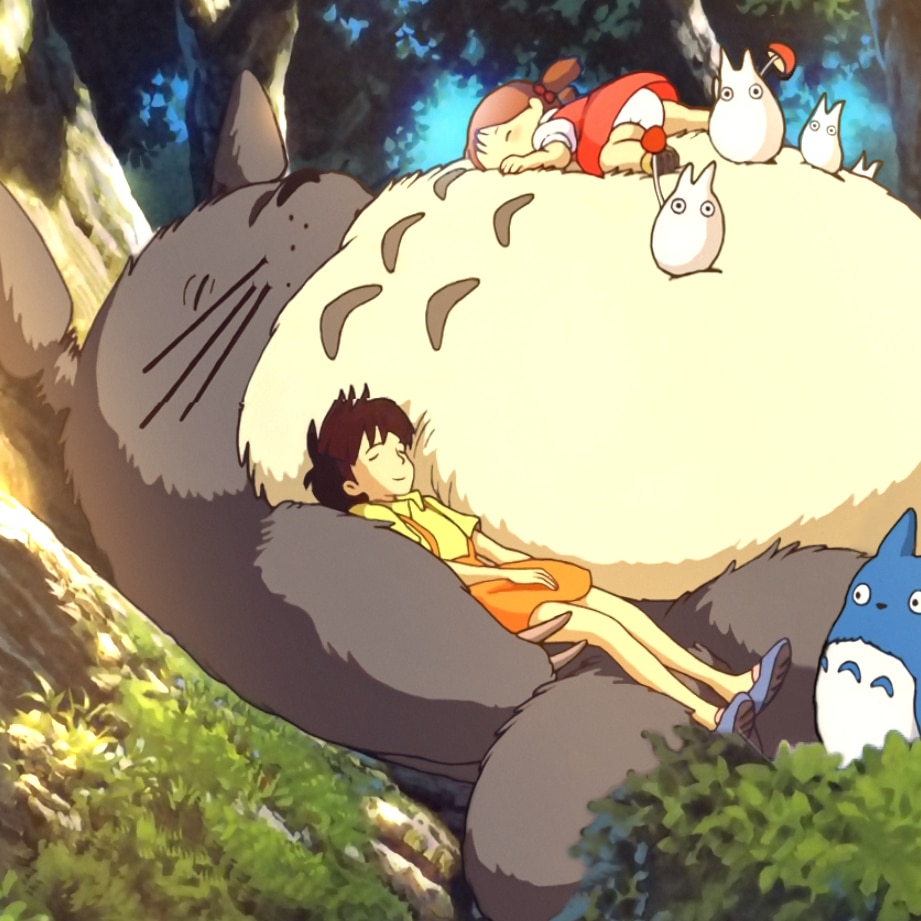 Totoro sleeping