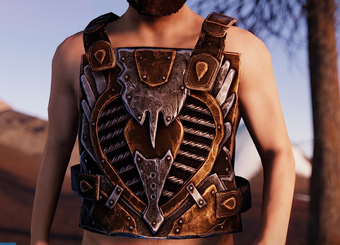 Wanderer's Chest Plate thumbnail 3