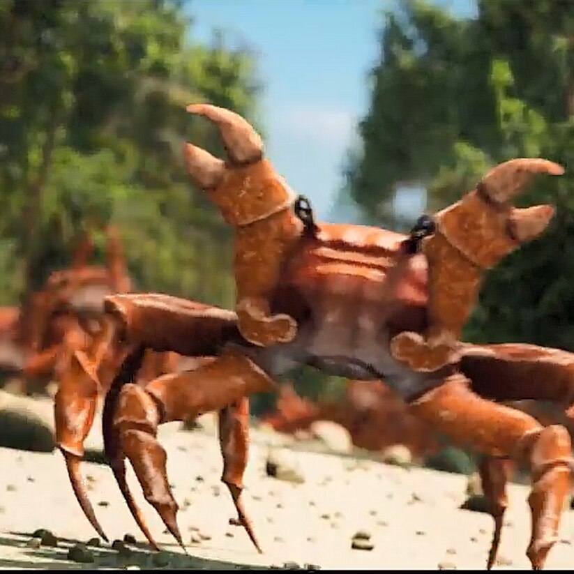 Crab Rave