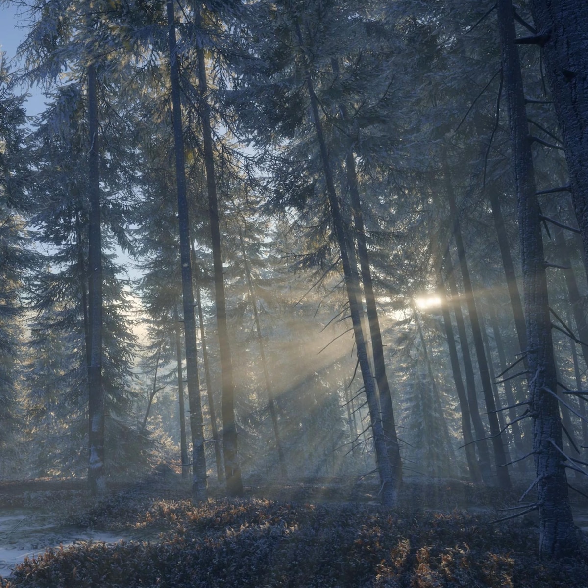 Sun-Dappled Forest (4k)