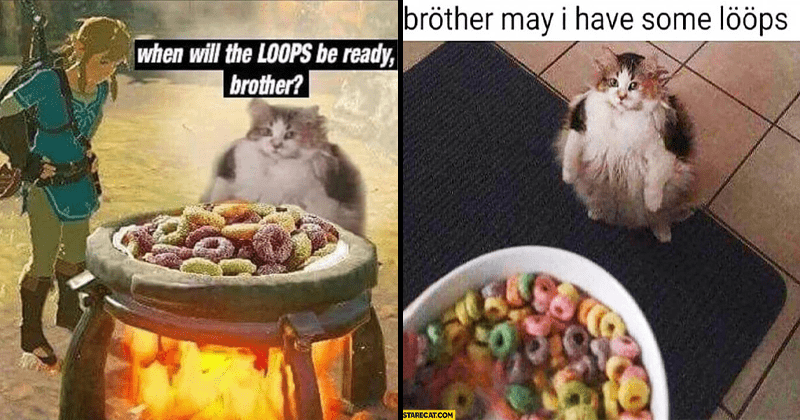 Brother Can I Have Some Loops