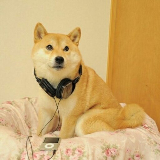 This is doge steam фото 99