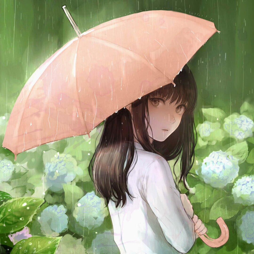 Rain in June | Wallpapers HDV