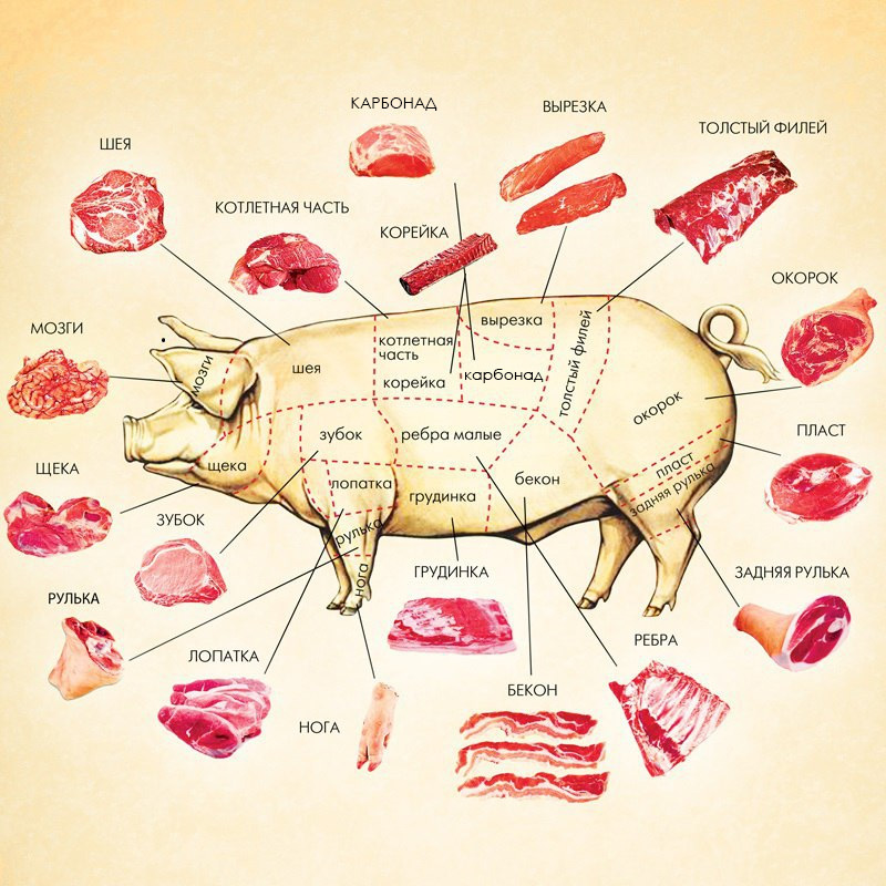 Какое мясо лучше для мяса по французски. Схема разделки свиной туши. Схема розничной разделки свиной туши. Схема разруба туши свинины. Свинья разделка туши схема.