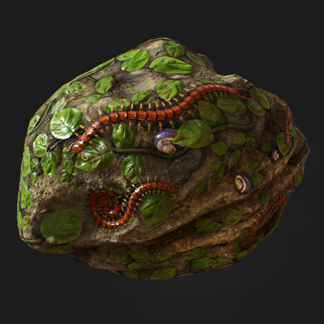 Swamp Rock