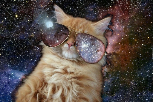 Мемы с котами в космосе Мемы с котами в космосе