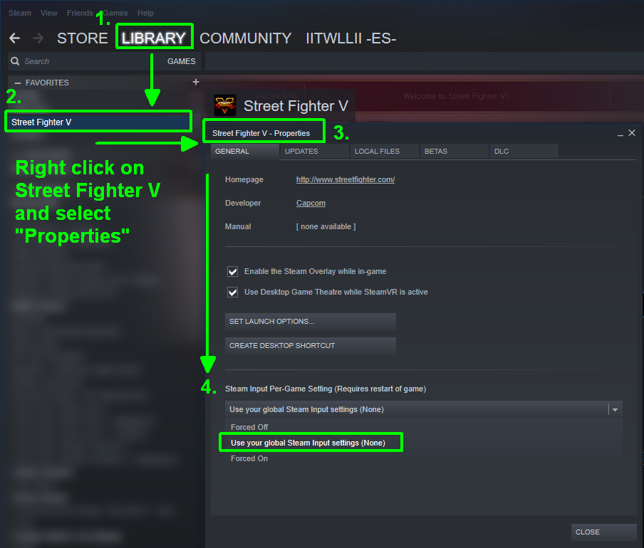 Steam Community Guide Sfv Common Problems And Solutions