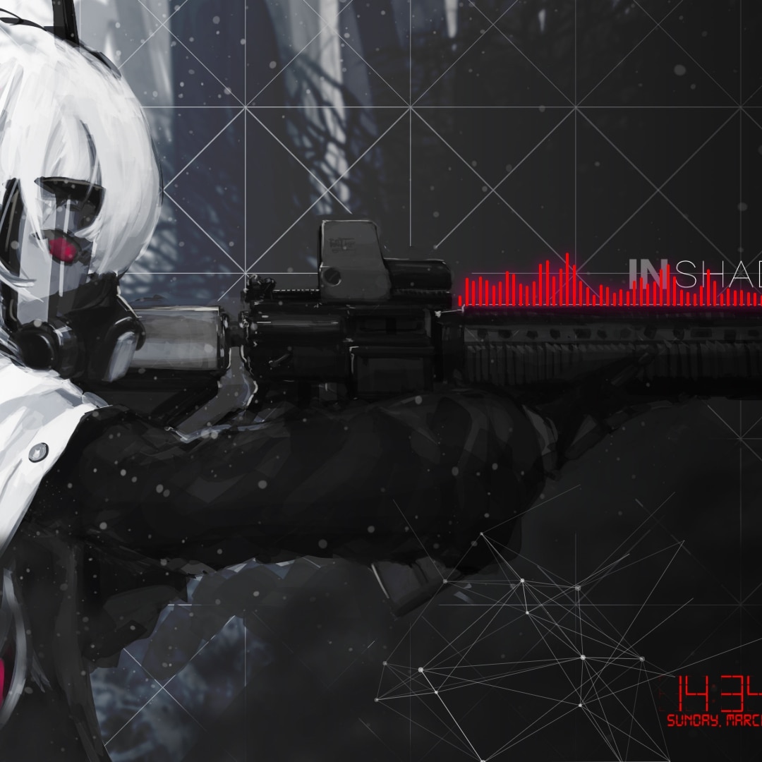 M4 SOPMOD II visualizer