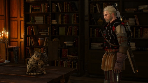 The witcher 3 school of cat фото 98