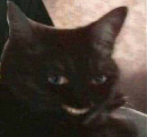 Мем кот улыбается с зубами Мем кот улыбается с зубами